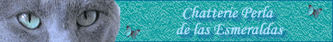 Link auf die Homepage des Z�chters des Zwingers Perla de las Esmeraldas