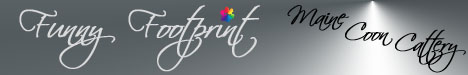 Link auf die Homepage des Z�chters des Zwingers Funny Footprint