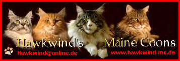 Link auf die Homepage des Z�chters des Zwingers Hawkwind