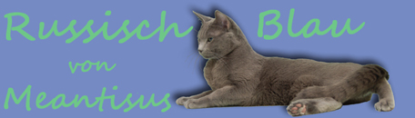 Banner zum Einbinden auf eigener Seite.