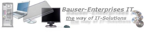 Link zu Bauser-Enterprises.com