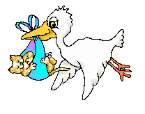 Der Storch hat uns besucht
